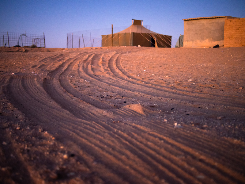 Illustration for article titled In War Torn Western Sahara, These Old Cars Are The King And Queen